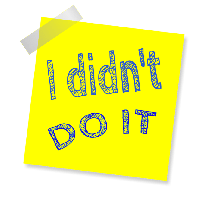 i-didnt-do-it-1432950_960_720